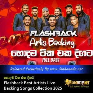Cover Art – Flashback Best Artists Live Backing Songs Collection 2025 Hodama Tika Eka Digata.mp3