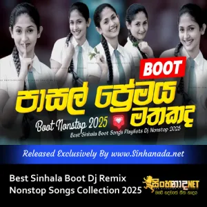 Cover Art – Best Sinhala Boot Dj Remix Nonstop Songs Collection 2025.mp3