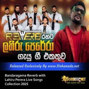 Cover Art – Bandaragama Reverb with Lahiru Perera Live Songs Collection 2025.mp3