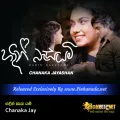 Cover Art – Hadin Besayami - Chanaka Jay.mp3