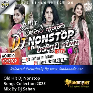 Cover Art – Old Hit Dj Nonstop Songs Collection 2025 Mix By Dj Sahan.mp3