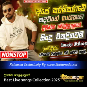 Cover Art – Dimanka Wellalage Best Live songs Collection 2025.mp3