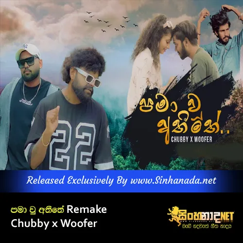 Cover Art – Pamawu Athithe Remake - Chubby x Woofer.mp3