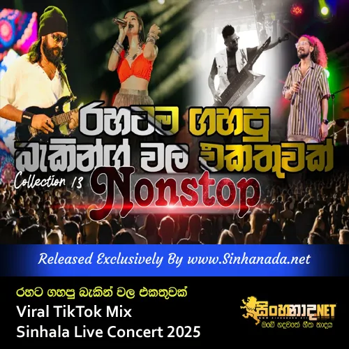 Cover Art – Rahata Gahapu Backing Wala Ekathuwak Viral TikTok Mix Collection Sinhala Live Concert 2025.mp3