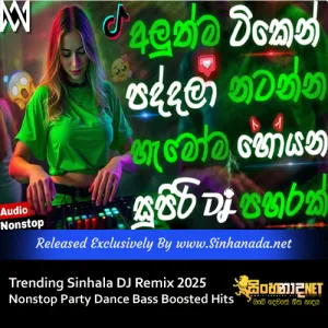 Cover Art – Trending Sinhala DJ Remix 2025 Nonstop Party Dance Bass Boosted Hits.mp3