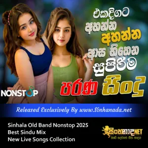 Cover Art – Sinhala Old Band Nonstop 2025 Best Sindu Mix New Live Songs Collection.mp3
