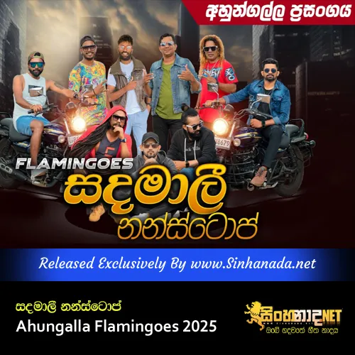 Cover Art – Sandamali Nonstop Ahungalla Flamingoes 2025.mp3
