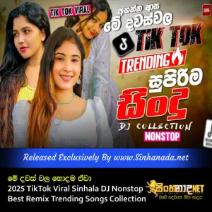 Cover Art – Hodama Ewa 2025 TikTok Viral Sinhala DJ Nonstop Best Remix Trending Songs Collection.mp3