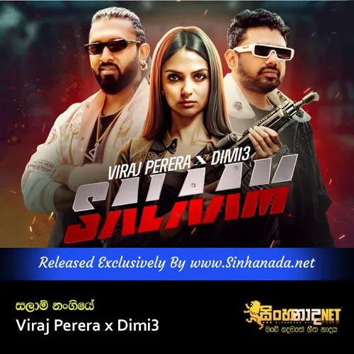 Cover Art – Salaam Nangiye - Viraj Perera x Dimi3.mp3