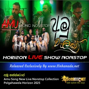 Cover Art – Amu Song New Live Nonstop Collection Polgahawela Horizon 2025.mp3