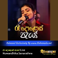 Cover Art – Raa Dolos Paye Live - Nuwandhika Senarathne.mp3