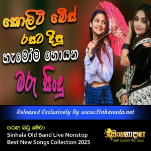 Cover Art – Parana Sindu Sinhala Old Band Live Nonstop Best New Songs Collection 2025.mp3
