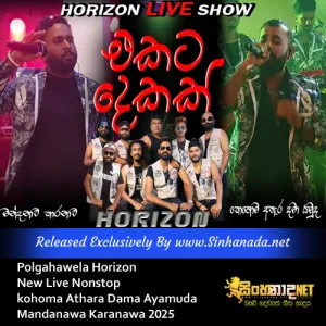 Cover Art – Polgahawela Horizon New Live Nonstop kohoma Athara Dama Ayamuda Mandanawa Karanawa 2025.mp3