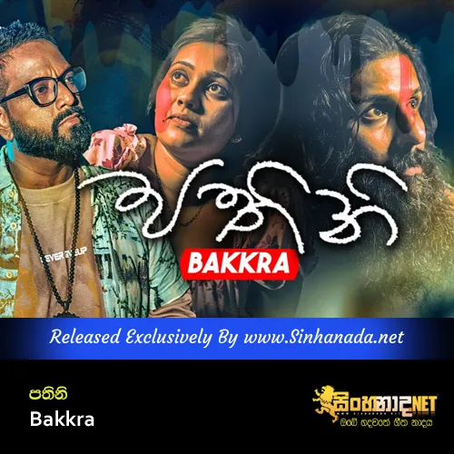 Cover Art – Pathini Gotha Kee Katha - Bakkra.mp3