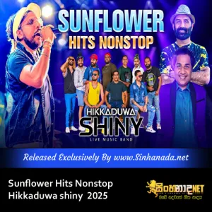 Cover Art – Sunflower Hits Nonstop Hikkaduwa shiny live music band 2025.mp3