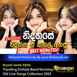 Cover Art – Nidahase Ahanna Windinna Trending Sinhala Band Nonstop Old Live Songs Collection 2025.mp3