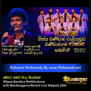 Cover Art – Mewata Thamai Sindu Kiyanne - Wijaya Bandara Walithuduwa with Bandaragama Reverb Live Walpola 2025.mp3