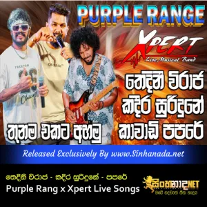 Cover Art – Thedini Viraja Kadira Surindune - Purple Rang x Xpert Live Songs and Papare 2025.mp3