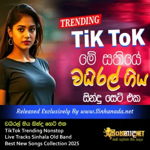 Cover Art – TikTok Trending Nonstop Live Tracks Sinhala Old Band Best New Songs Collection 2025.mp3