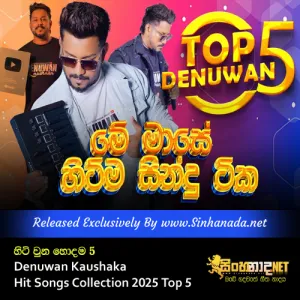 Cover Art – Denuwan Kaushaka Hit Songs Collection 2025 Top 5.mp3
