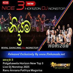 Cover Art – Polgahawela Horizon New Top 3 Live Dj Nonstop 2025 Ranu Annana Pathiya Magorisa.mp3