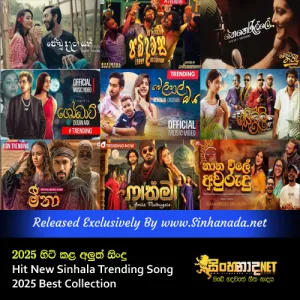 Cover Art – Hit New Sinhala Trending Song - 2025 හිට් කළ අලුත් සිංදු Best Collection.mp3