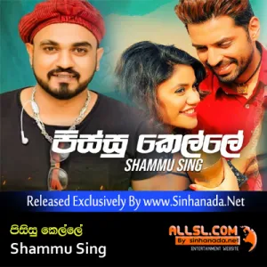 Pissu Kelle - Shammu Sing.mp3