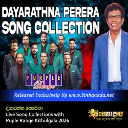 Dayarathna Perera පර්පල් රේන්ජ් බැකින් එකට Live Song Collections with Puple Range Kithulgala 2026.mp3