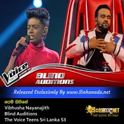 Pem Sihine පෙම් සිහිනේ - Vibhusha Nayanajith Blind Auditions The Voice Teens Sri Lanka S3.mp3
