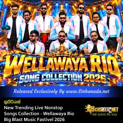 New Trending Live Nonstop Songs Collection සුපිරියක් - Wellawaya Rio Big Blast Music Fastivel 2026.mp3