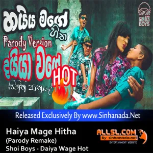 Cover Art – Haiya Mage Hitha (Parody Remake) - Shoi Boys - Daiya Wage Hot.mp3