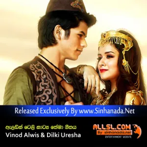 Cover Art – Hithumathe Sari Sara (Aladdin Theme Song) - Vinod Alwis & Dilki Uresha.mp3