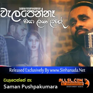 Cover Art – Walapenne Ne - Saman Pushpakumara Cover Song 2019.mp3