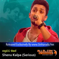 Cover Art – Papuwata Mage (Wedi Pita Wedi) - Shenu Kalpa (Serious).mp3
