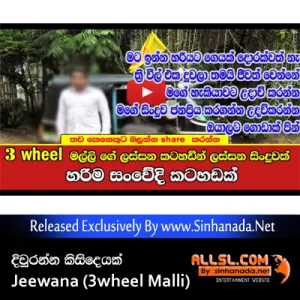 Cover Art – Diuranna Kisi Deyak Hangala Na Mamath - Jeewana (3wheel Malli).mp3