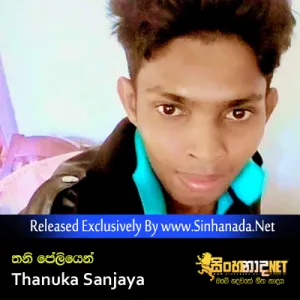 Cover Art – Thani Peliyen - Thanuka Sanjaya.mp3