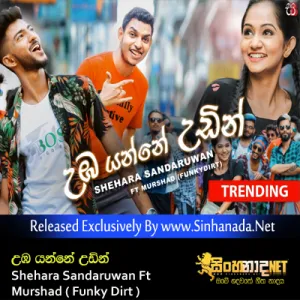 Cover Art – Uba Yanne Udin - Shehara Sandaruwan Ft Murshad ( Funky Dirt ).mp3