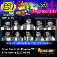 Cover Art – 04.RING TONE NONSTOP - Sinhanada.net - LIVE ORZONE.MP3