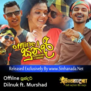 Cover Art – Offiline Sundari - Dilnuk ft. Murshad (Funky Dirt).mp3