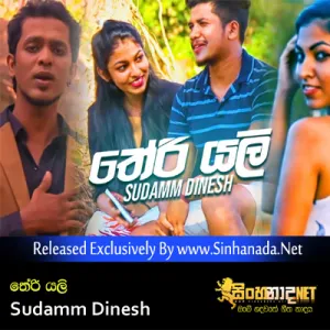 Theri Yalee - Sudamm Dinesh.mp3