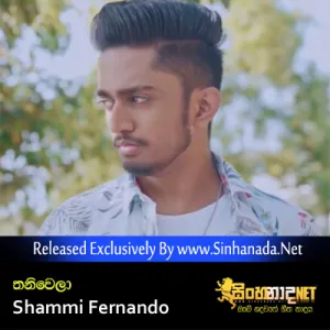 Cover Art – Thaniwela - Shammi Fernando (Hiru Star).mp3