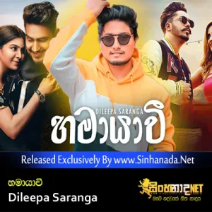 Cover Art – Hamayawi - Dileepa Saranga.mp3