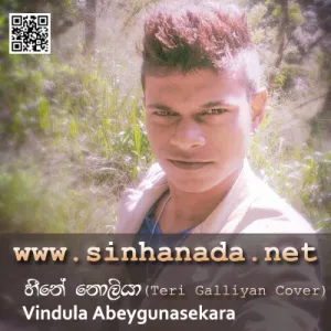 Cover Art – Heene Noliya (Teri Galliyan Cover) - Vindula Abeygunasekara.mp3