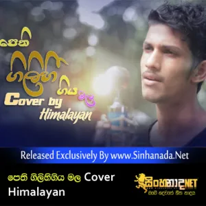 Cover Art – Pethi gilihi Giya Mala Numbado Cover Song - Himalayan.mp3