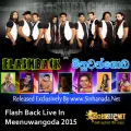 Cover Art – 13.SADA WAGE - Flash Back.mp3