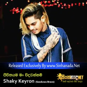 Cover Art – Jeevithema Man Vidawannam - Shaky Keyron (Seeduwa Brave).mp3