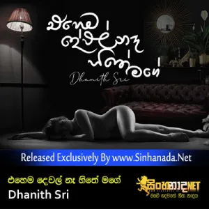Cover Art – Ehema Dewal Na Hithe Mage - Dhanith Sri.mp3
