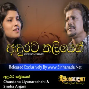 Cover Art – Andurata Kaliyen - Chandana Liyanarachchi & Sneha Anjani.mp3