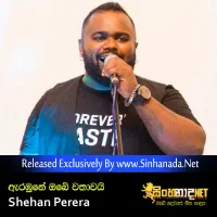 Cover Art – Arabune Obe Wathawai (Dama Yanna Barinam) - Shehan Perera.mp3