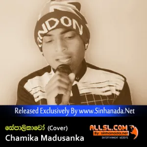 Sepalikawo (Cover) - Chamika Madusanka.mp3